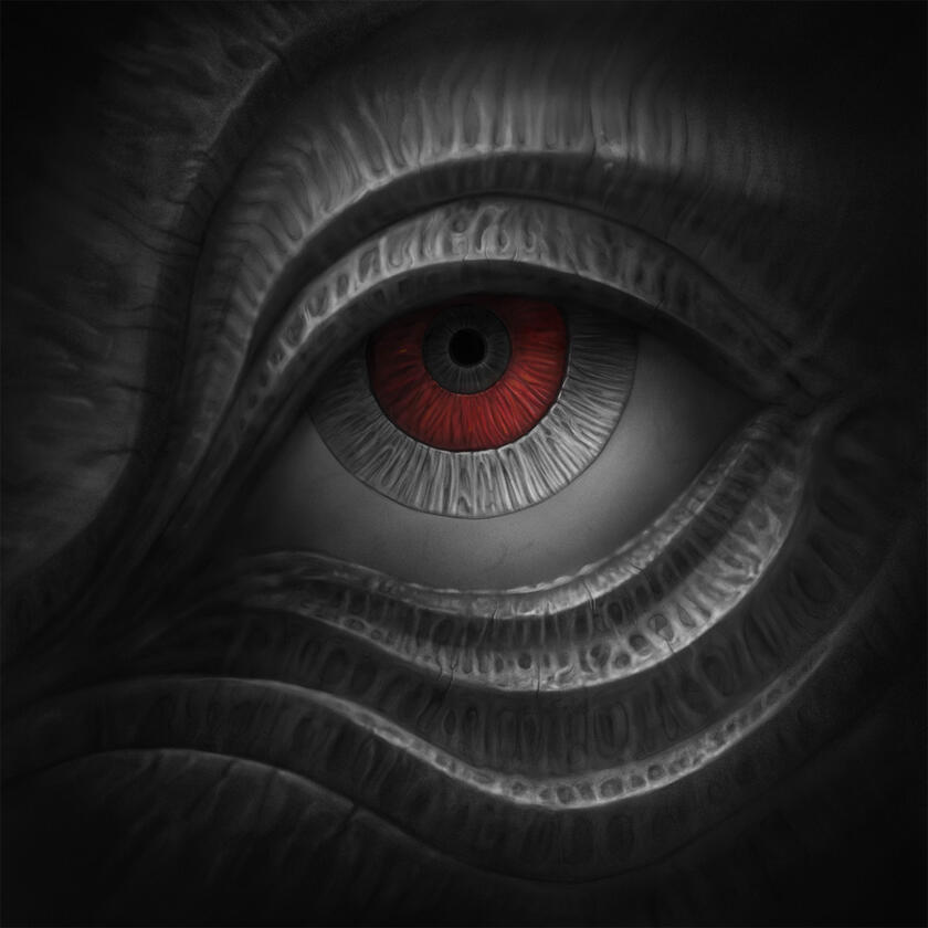 Witness