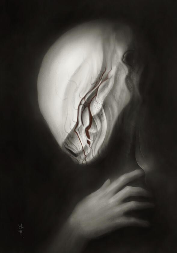 A Reflection From Shadows - 2023